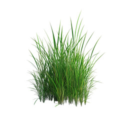 Lush Green Grass Against Vibrant Abstract Background Nature's Serenity in Bold Colors