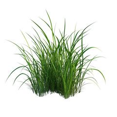 Obraz premium Lush Green Grass in a Vibrant Abstract World