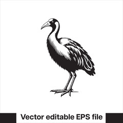 vector  Swamphen black and white, silhouette, logo and t-shirt
