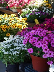Naklejka premium Vibrant Colorful Flower Display in Pots at a Garden Market Showcase of Spring Blooms and Fresh Blossoms with Floral Variety and an Abundance of Nature