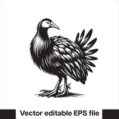 vector  Swamphen black and white, silhouette, logo and t-shirt