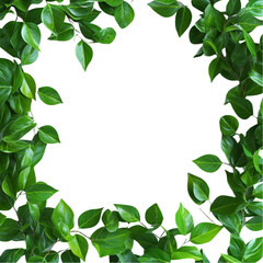 Fototapeta premium Lush Green Leaves Frame Abstract Geometric Design Vibrant Colors Nature Meets Modern Art