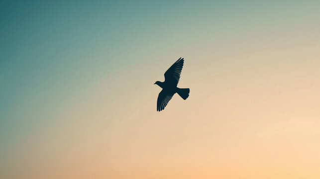 dove flying in the sky. christian symbol of peace