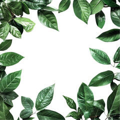 Fototapeta premium Lush Green Leaves Frame Abstract Glitch Art Vibrant Colors Nature and Technology Fusion