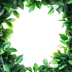 Lush Green Leaves Frame Abstract Colorful Design Vibrant Nature Art