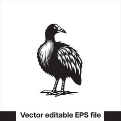 vector  Swamphen black and white, silhouette, logo and t-shirt