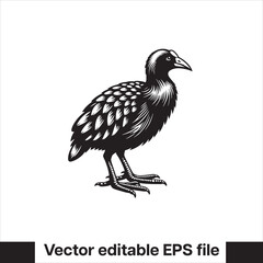vector  Swamphen black and white, silhouette, logo and t-shirt