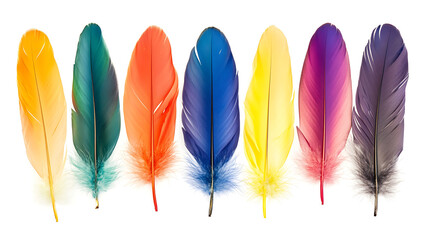 A row of colorful feathers in yellow, teal, orange, blue, yellow, pink, and purple on white