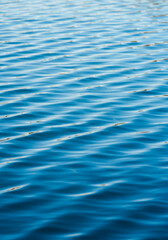 穏やかな朝の始まり、水面のさざめき