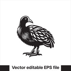 vector  Swamphen black and white, silhouette, logo and t-shirt