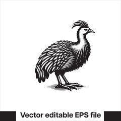 vector  Swamphen black and white, silhouette, logo and t-shirt