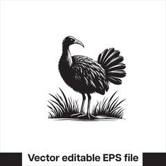 vector  Swamphen black and white, silhouette, logo and t-shirt