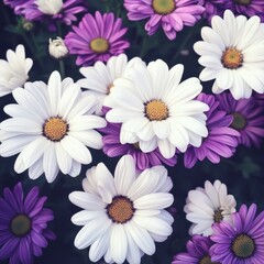 Fototapeta premium Vibrant Display of White and Purple Flowers in Full Bloom Surrounded by Lush Green Leaves in a Natural Garden Setting