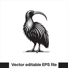 vector  Swamphen black and white, silhouette, logo and t-shirt