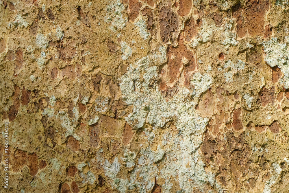 Poster abstract pattern and texture background of tree bark. for graphic design, 3d rendering or banner bac