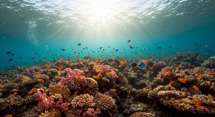 Obraz premium Vibrant Coral Reef Underwater Scene - A vibrant underwater world teeming with colorful fish and coral. Symbolizing marine life, ocean beauty, biodiversity, natural wonder, and underwater serenity