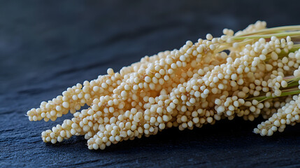 A close-up of a sorghum ear with fine round seeds, placed carefully on a dark, textured background to highlight its natural texture and form.