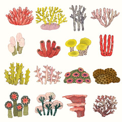 Coral reef, sea, flower, nature, watercolor vector illustration for seamless pattern.