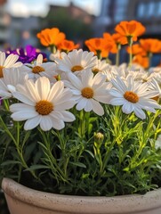 Vibrant Flower Arrangement with White Daisies and Orange Marigolds in a Sunlit Garden Setting