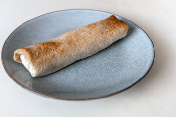Delicious fried roll on a plate. High quality photo
