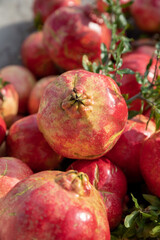 A close up symbolic red fruit of Pomegranate on a tree branch, sunny weather and soft background, vitamin juicy food