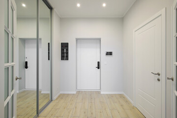 Entrance door in the hallway of the apartment interior