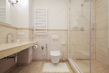Toilet bowl and shower cabin in the bathroom interior