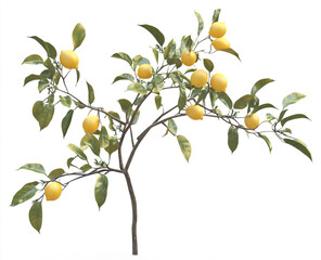 High-Quality Sprite Sheet of Lemons with Water Splashes and Leaves on a White Background