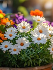 Obraz premium Vibrant Garden Display with White Daisies and Colorful Flowers in Soft Natural Light for Spring or Summer Background