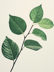 Naklejka premium Organic Leafy Branch