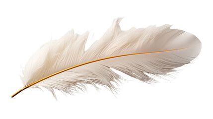 Obraz premium White Feather with Gold Accent Minimalist Design, Soft Light Background for Art Themes.