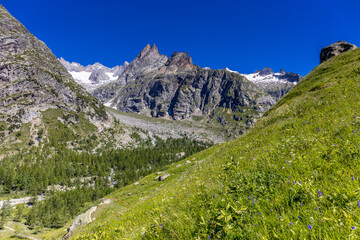 Beautiful mountain landscape of the Alps in summer on tour du Montblanc area near Courmayeur village in Val Ferret valley in Italy. European Alps stunning views of green valley with colorful flowers