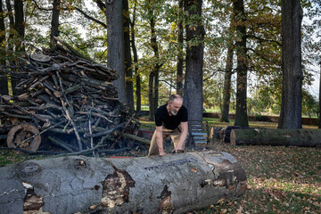 Man cutting large tree trunk with chainsaw in autumn woodland.