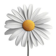 A pristine white daisy radiates purity and peace a serene floral masterpiece