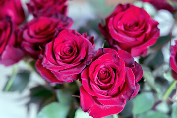 Romantic bouquet of beautiful fresh roses