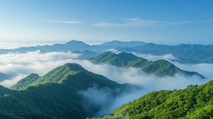 Misty Green Mountains at Sunrise