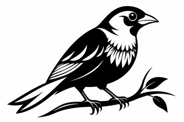 bird on a branch line art silhouette vector illustration