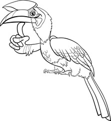 cartoon hornbill bird animal character coloring page © Igor Zakowski