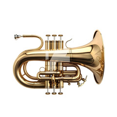 Naklejka premium Pocket Trumpet for Golden Musical Instrument.
