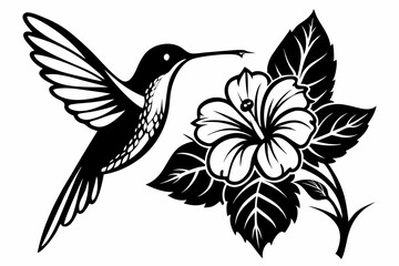 hummingbird and hibiscus line art silhouette vector illustration