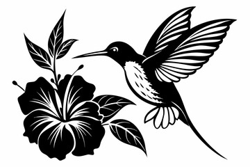 hummingbird and hibiscus line art silhouette vector illustration © Pinak