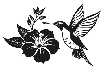 hummingbird and hibiscus line art silhouette vector illustration