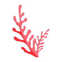 A coral branch with pink and white colors. The coral is a long, thin, and slender structure. It has a unique and intricate pattern that resembles the veins of a leaf