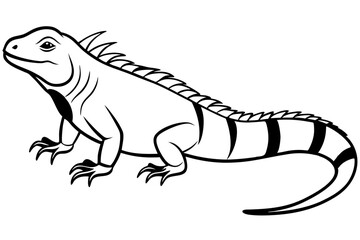 iguana line art silhouette vector illustration