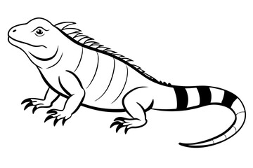 iguana line art silhouette vector illustration