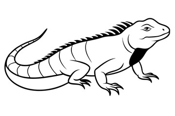 iguana line art silhouette vector illustration