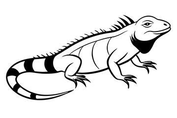 iguana line art silhouette vector illustration