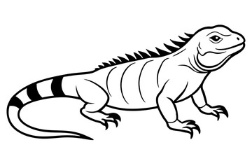 iguana line art silhouette vector illustration