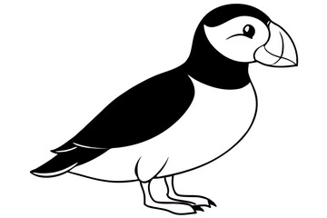 puffin bird line art silhouette vector illustration