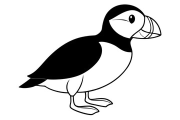puffin bird line art silhouette vector illustration